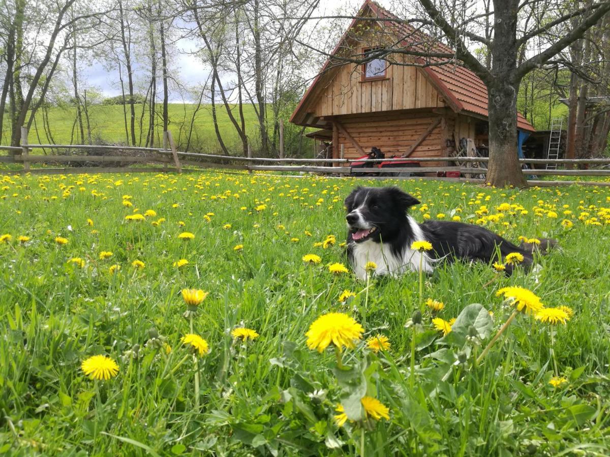 Holiday Home Holiday Raj Bešeňová Kültér fotó